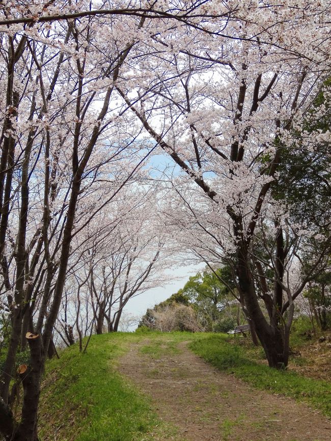 章魚頭姿山 高津子山 展望台の絶景？山頂からみた和歌浦とは？お出かけスポットあるく子