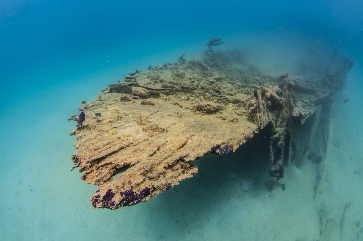 沖縄北部観光 沖縄美ら海水族館、古宇利島、万座毛、アメリカンビレッジ 那覇発日帰りツアー人気スポットを1日で巡るKlook