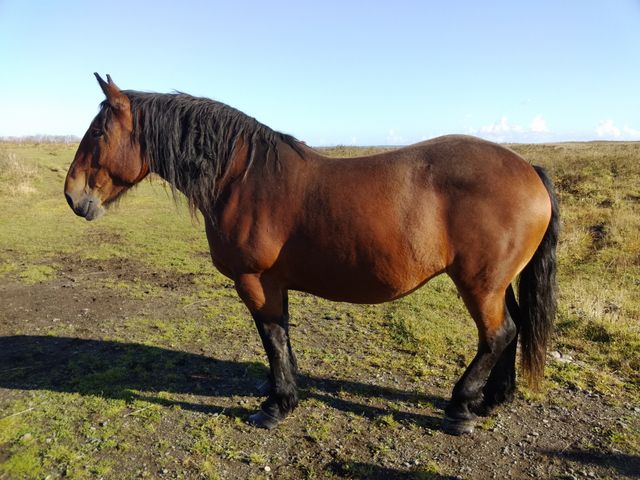 4 北海道 日帰り旅行 :