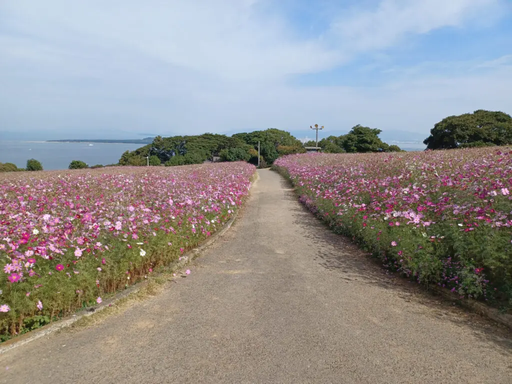 ＮＯ．２３３８ 福岡市営渡船・西鉄バスを使った能古島訪問記 前編、姪浜→アイランドパーク利用編コウさんのコウ通大百科 ＰＡＲＴ３