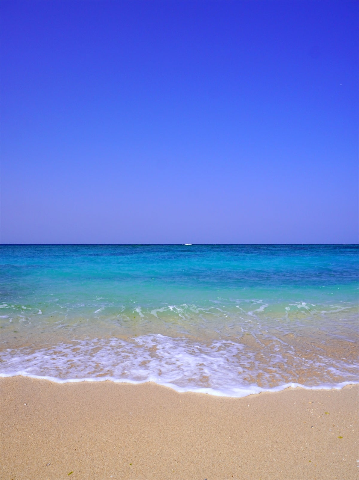 7月12〜14日迄ビーチで新鮮な魚、天ぷら、刺身、魚汁🐟モズク等の格安販売致します。 海人フェス 魚好きな人は必見の価値あり！🏖️🐟🍺沖縄 ビール 魚