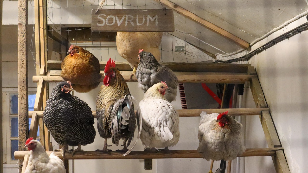 スウェーデンの国旗 - 世界の国旗