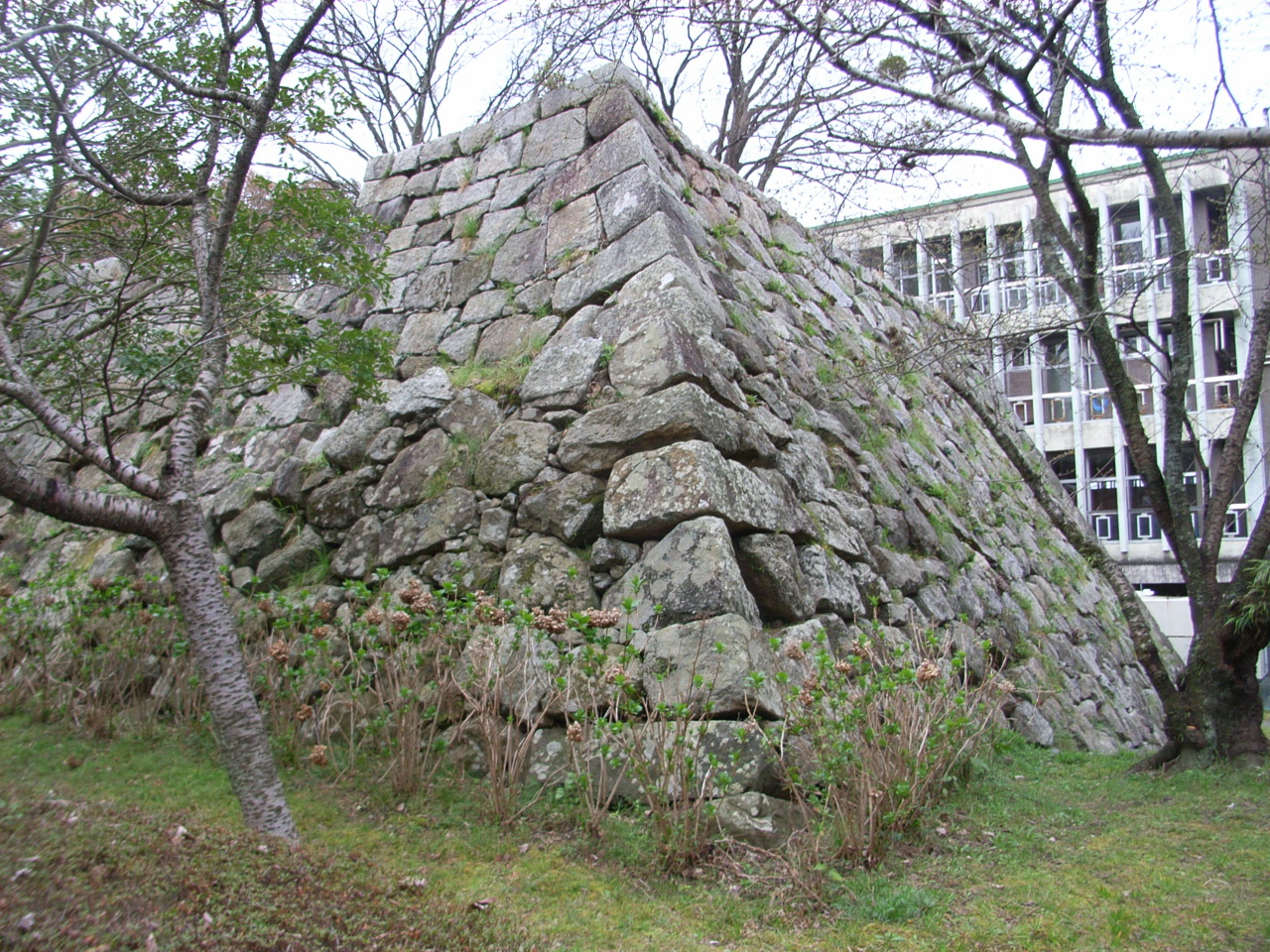 かつては安濃津と呼ばれた 津城の歴史 をまるっと解説 - 日本の城