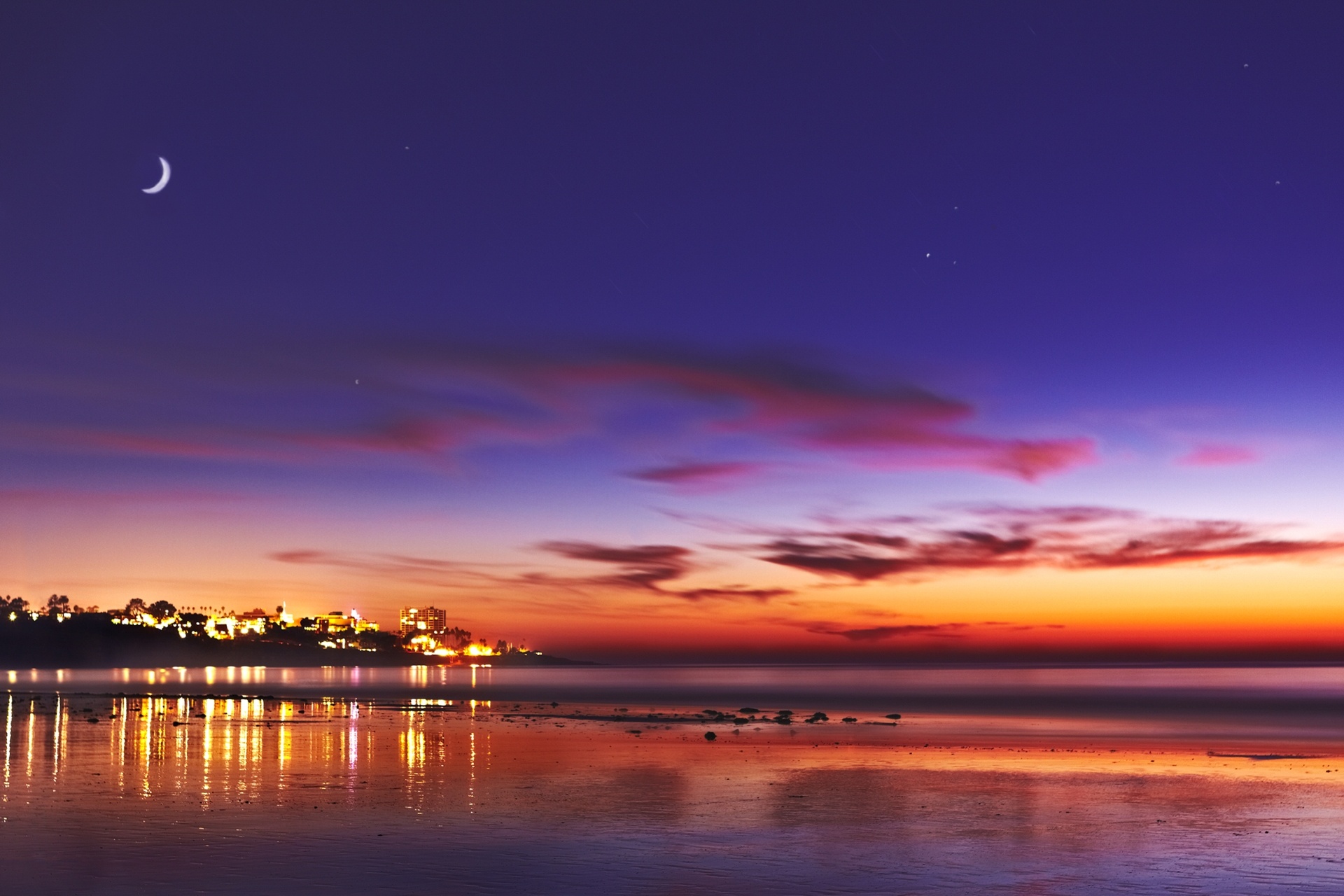 海外の夏 ヤシの木 5枚