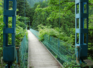 愛の吊り橋効果”を試さない？関東近郊エリアにある“吊り橋”スポット15選RETRIP リトリップ