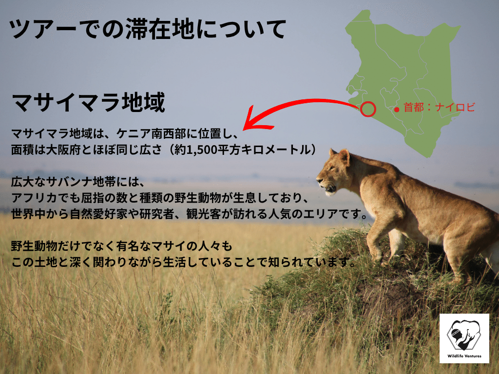 ケニア観光で行ってよかったスポット10選！おすすめサファリから世界遺産まで紹介 - 地球人