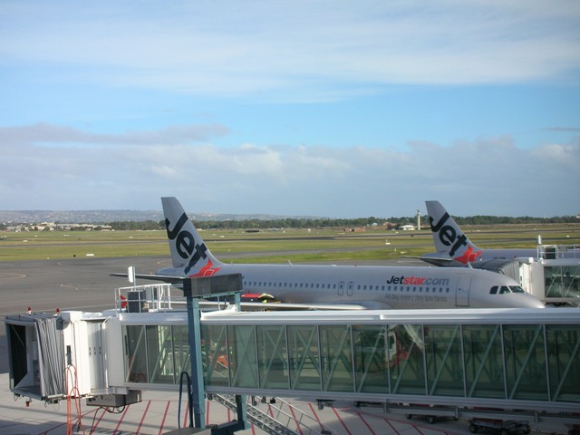 タスマニア観光 日本からタスマニアへの行き方は？直行便はあるの？フライト時間はどれくらい？│つなログ