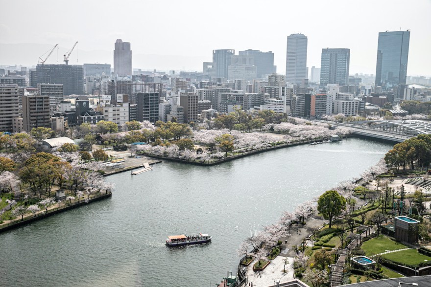 帝国ホテル 大阪 口コミ、宿泊料金、写真 2025 -