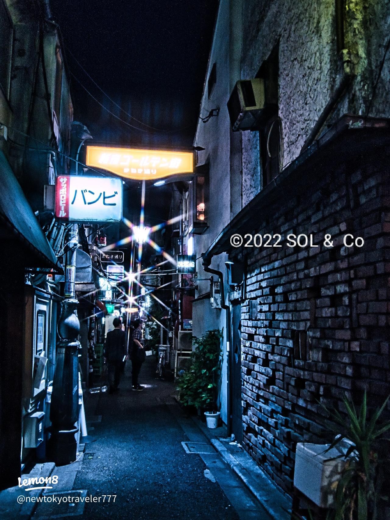 静かな夜の東京路地裏で感じる美