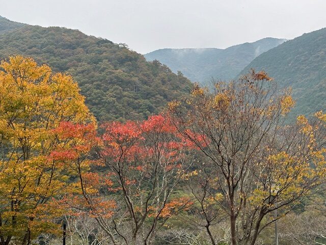 旅殿御所 社乃森口コミ・宿泊予約- トリップアドバイザ