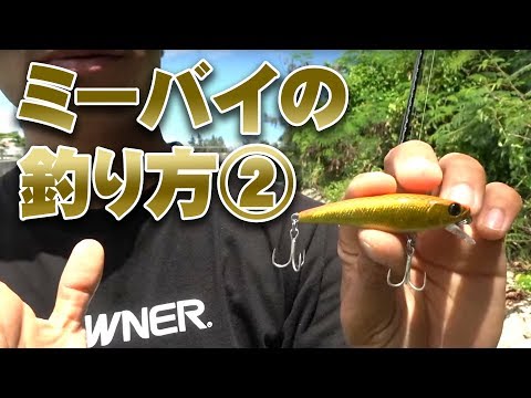 沖縄へテンヤ釣りに行ってきました！」Fishing Net東レ・モノフィラメント株式会社