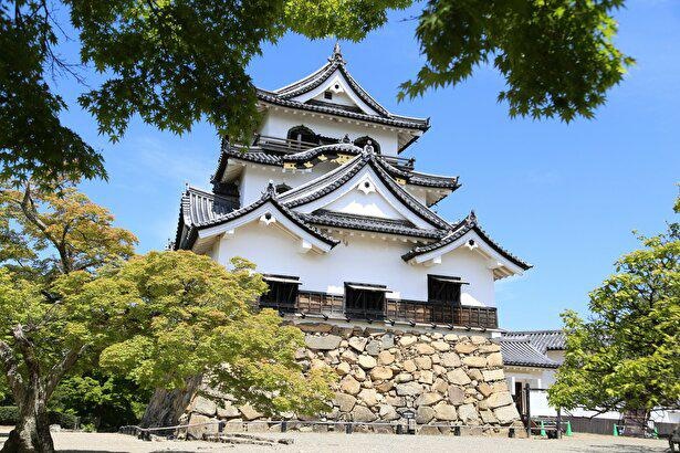 ギリシャの家々が白い理由とは