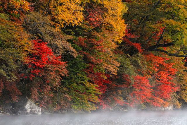 福岡のアスレチックプールで家族揃って楽しもう