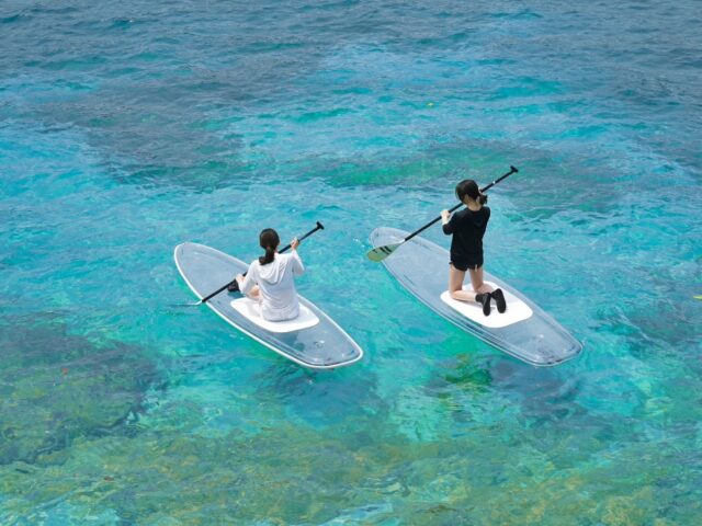 石垣島 クリアサップツアー CLEAR BULL@clear__bull•