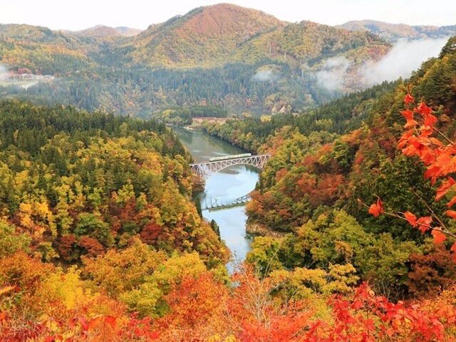 ローカル線「只見線」の車窓から紅葉を楽しむ - びゅうたび