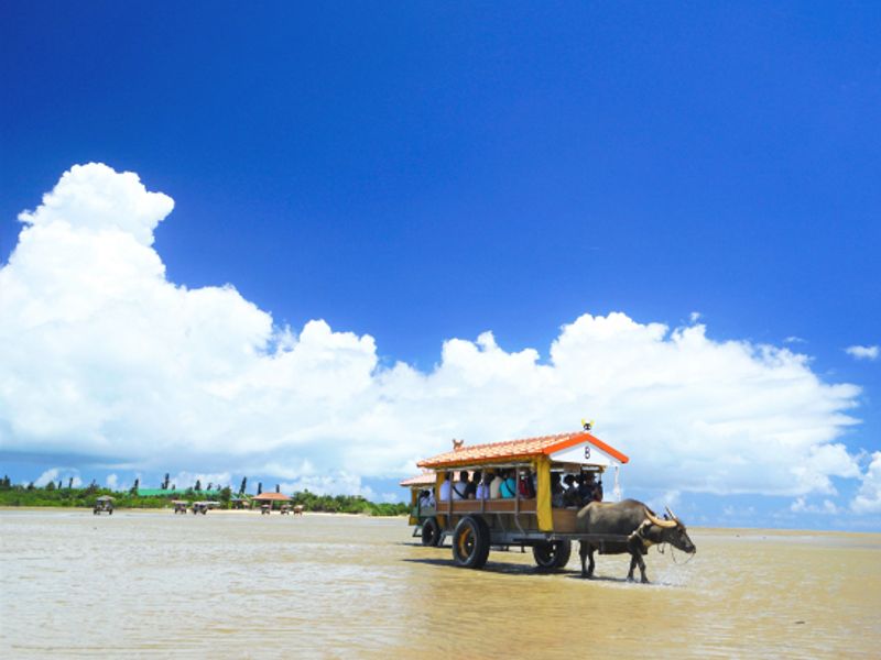 水牛に引かれてのんびり竹富島さんぽ』沖縄県の旅行記・ブログ by フォートラベルユーザーさん