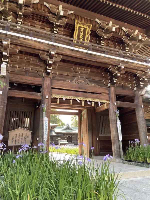 福岡のパワースポット神社5選元巫女が選ぶ絶対に行くべき場所を紹介！神社テラス