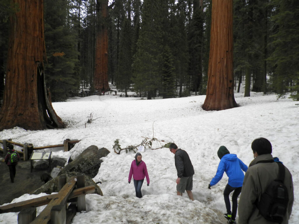 国立公園内のシャトルバス運行・マイカー規制 2022年9月30日～10月2日北海道 知床キキシレトコナチュラルリゾート 公式