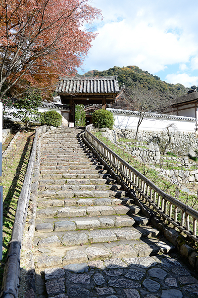 長谷寺：見どころ7〜9ますます訪ねたくなる奈良