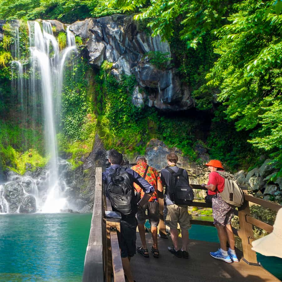 済州島観光ガイド～定番人気スポットを参考に自分にピッタリの観光プランを立てよう！エクスペディア