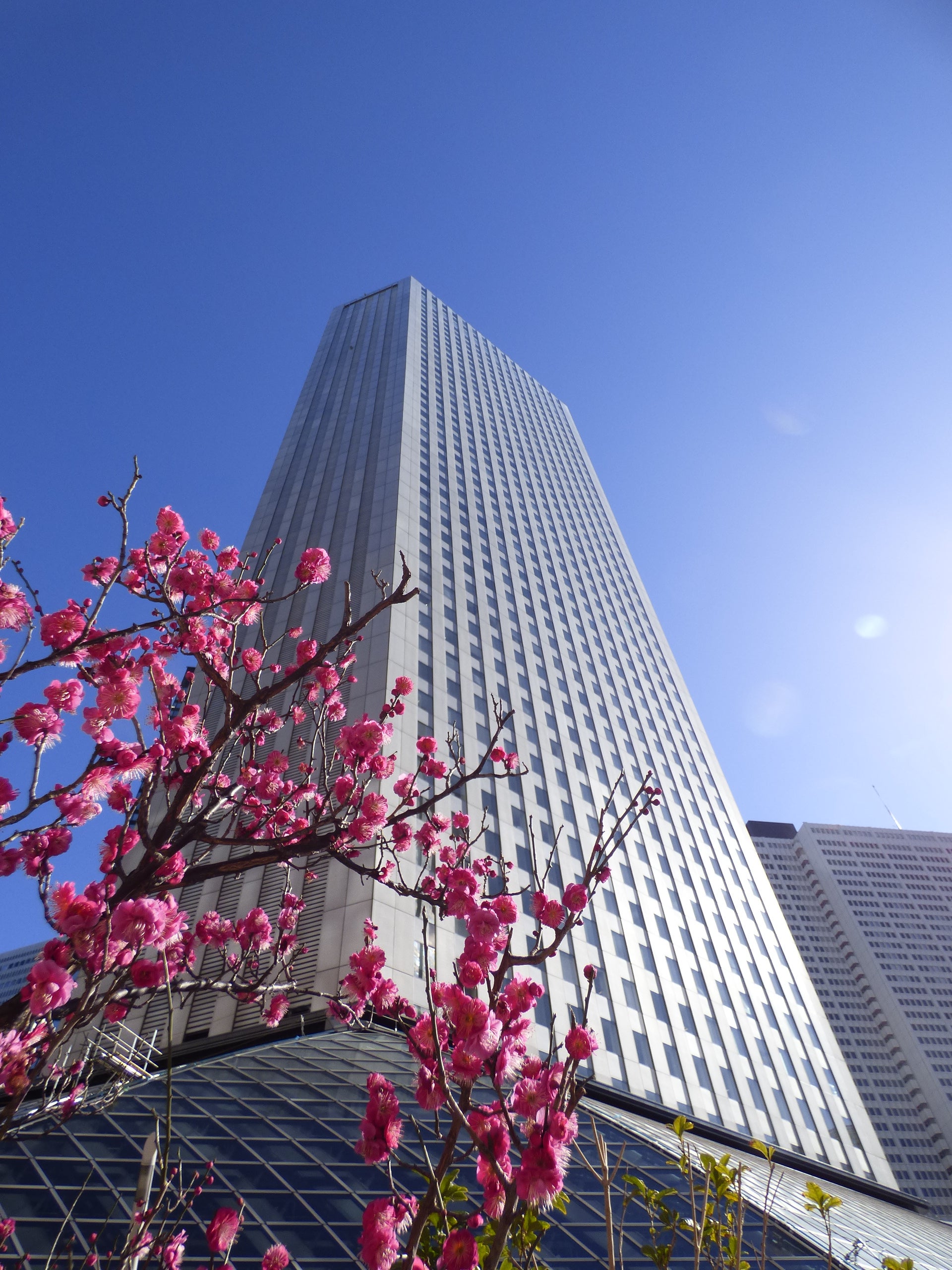 都庁超えの「新宿で1番高い」ビルが誕生へ、大型再開発で新宿駅西口エリア一新か楽待新聞 不動産投資コラム・ニュース