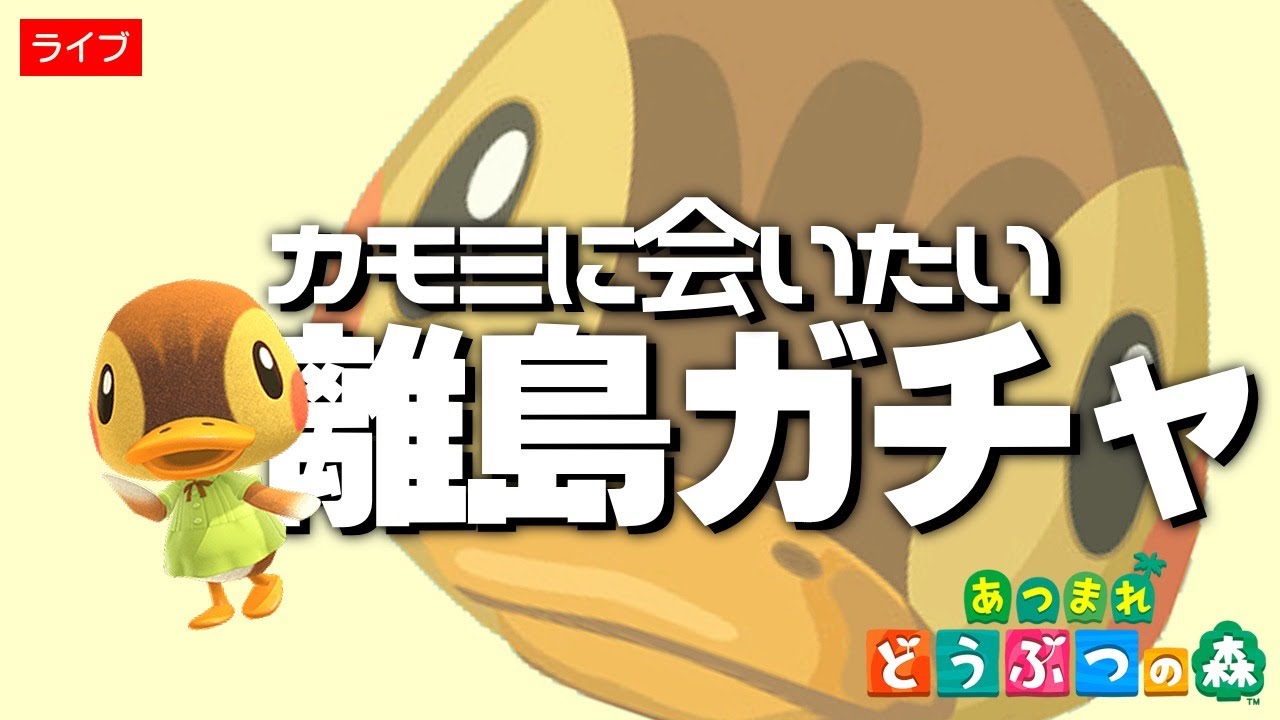 sD722s人気どうぶつの森 amiiboカードまとめ 計50枚 ミッチェル カモミ