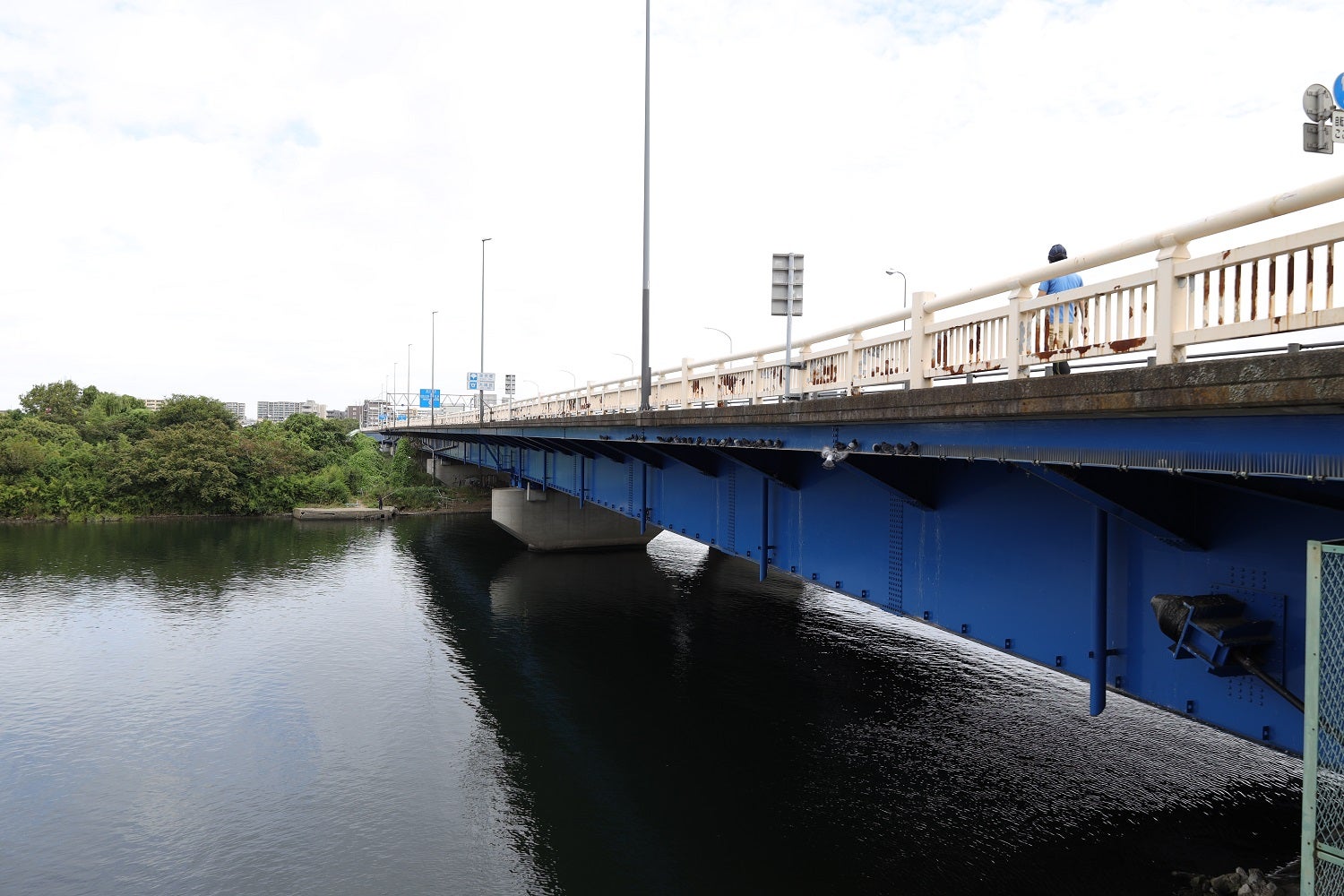 多摩川六郷橋で迷い猫？を見つけた話 20.05.24神奈川東京釣行記 - 楽天ブログ