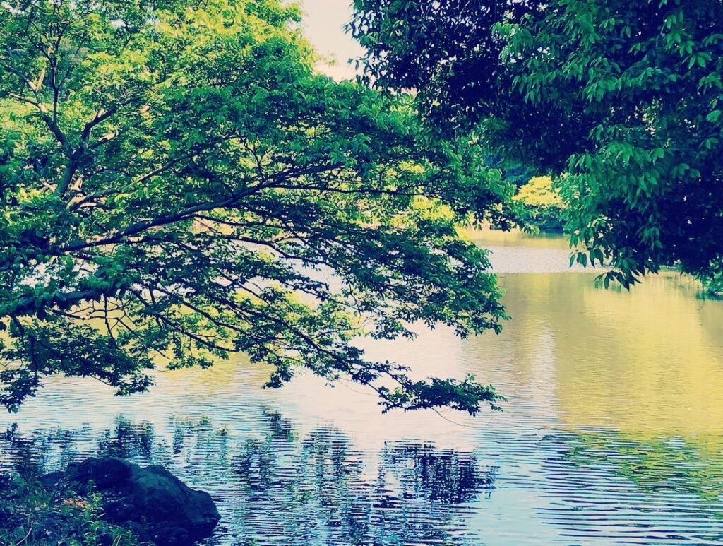 新宿御苑「言の葉の庭」のロケ地巡り。余談も交えて綴っています。建築空間物語