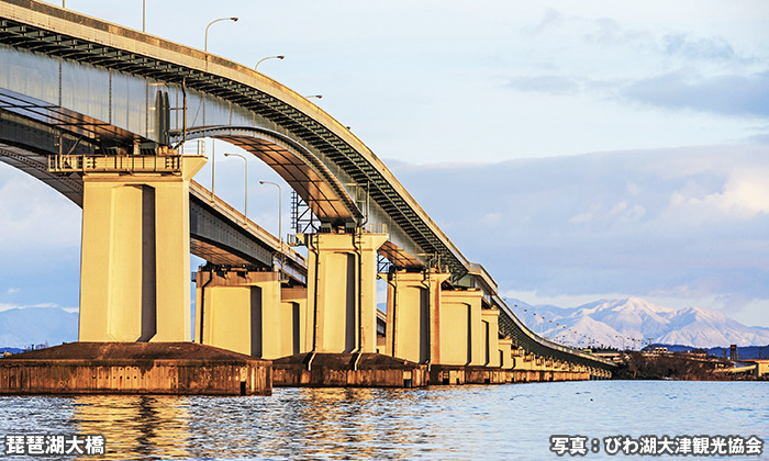 滋賀県の桜撮影スポット 海津大崎の見どころを紹介！今日も撮影日和