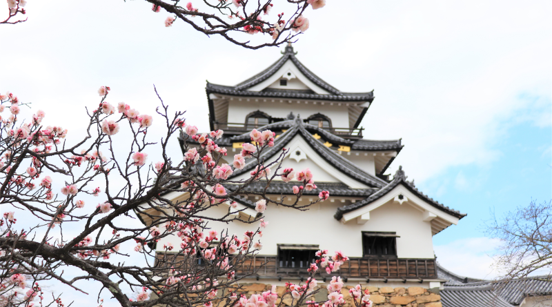 彦根城博物館で「国宝 彦根屏風」展 当時の人々の心理も表現 - 彦根経済新聞