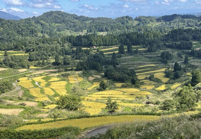 星峠の棚田ロケ地検索新潟ロケーションガイド 公式 新潟県のおすすめ観光・旅行情報！にいがた観光ナビ