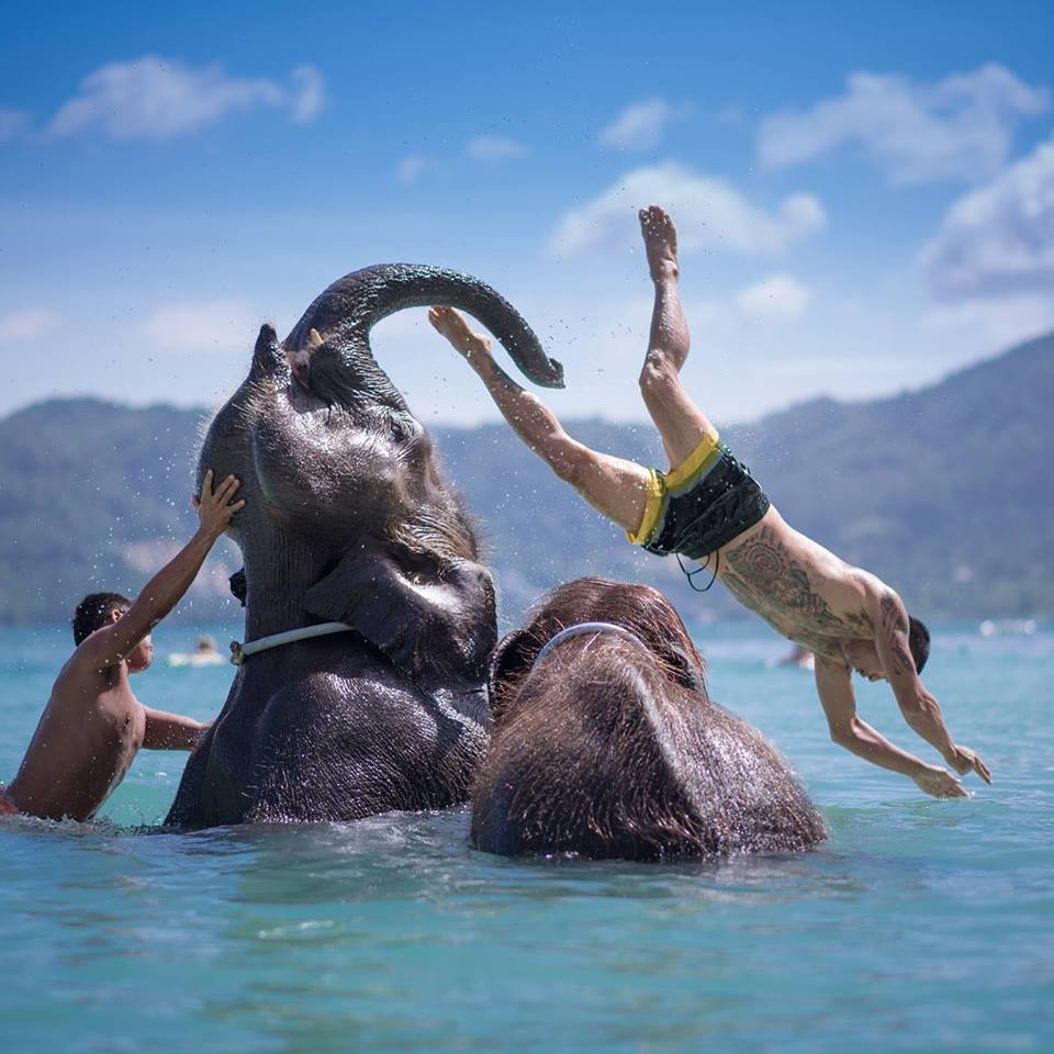 エレファントアクティビティー象と遊びたい！プーケットダイビングショップatPhuket-シュノーケリングアットプーケット