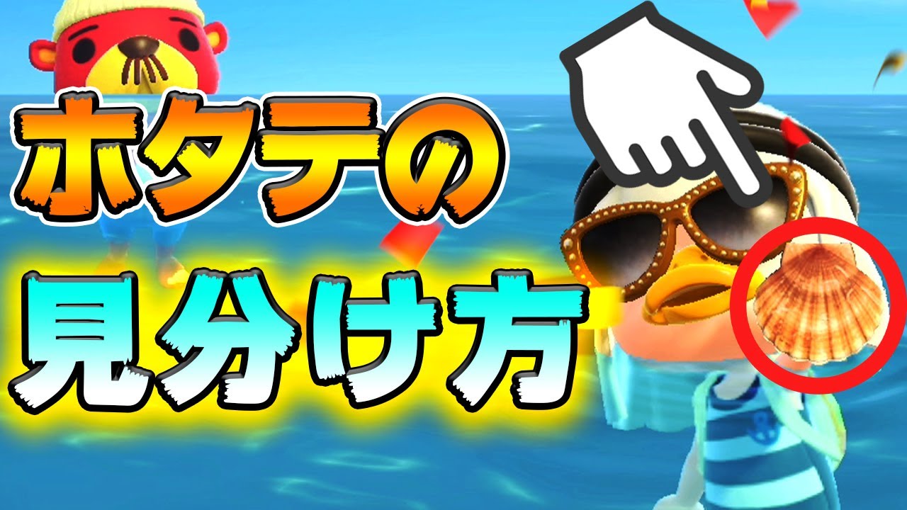 あつまれ どうぶつの森』ホタテを食べるラコスケや水槽を殴るシャコ─海開きには細か～い作り込みがいっぱい！インサイド