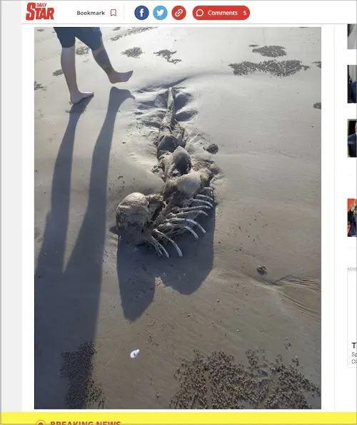 William Blake ウィリアム