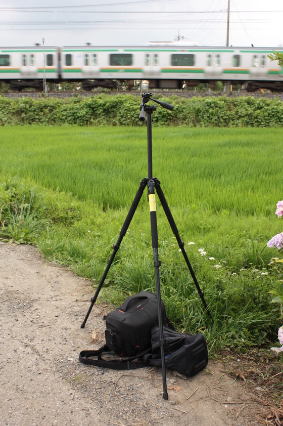 ヒガハスの貨物撮影と両毛線でのEastiの２つを撮影 2021 08 28 :