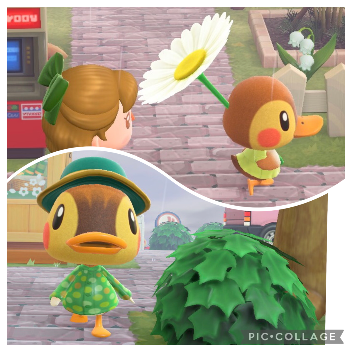 あつ森 カモミの誕生日と性格 あつまれどうぶつの森 ゲームエイト