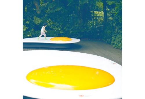 2024.11.24 夕陽が紅葉を照らす輝かしい風景に癒されます🍁 箱根の紅葉前線は段々と標高の低い地域へ移り変わります。ちなみに