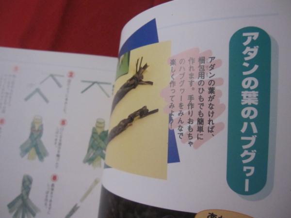 公園10選 おでかけスタッフが厳選！沖縄県内の遊具も充実した人気公園を紹介おでかけ情報ちゅらとく