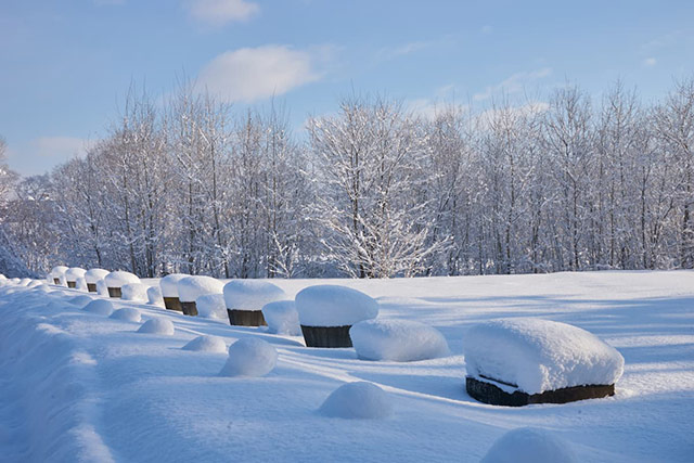 平年を下回る寒さ あす朝更に寒く 旭川マイナス22℃