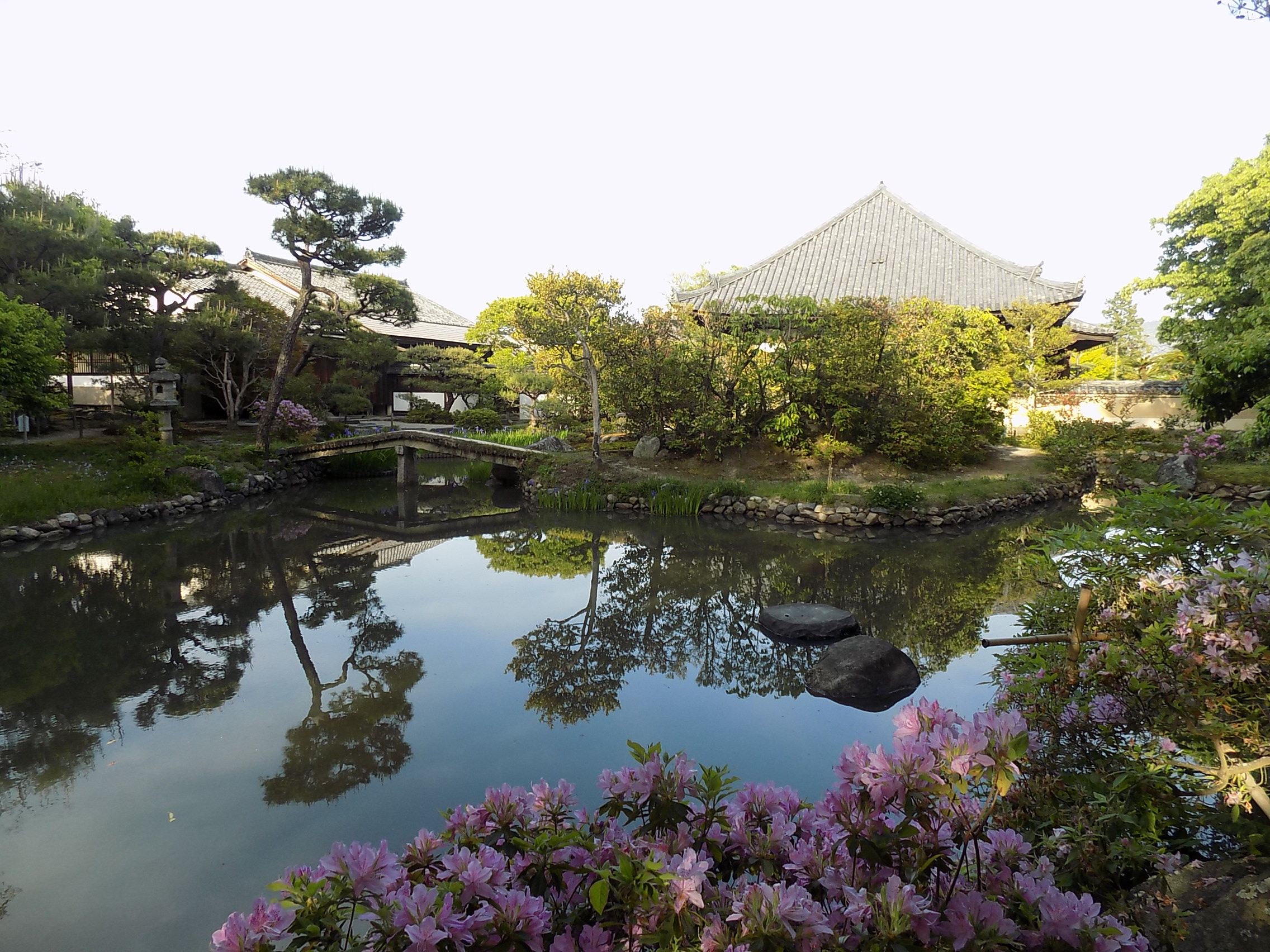 法華寺 春だけ公開される池泉庭園 -庭園ガイド