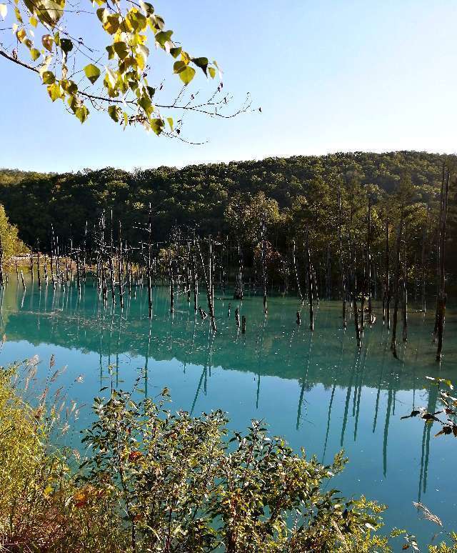 北欧の風 道の駅とうべつ 車中泊好適度をクルマ旅のプロがチェック！ 2023年7月更新