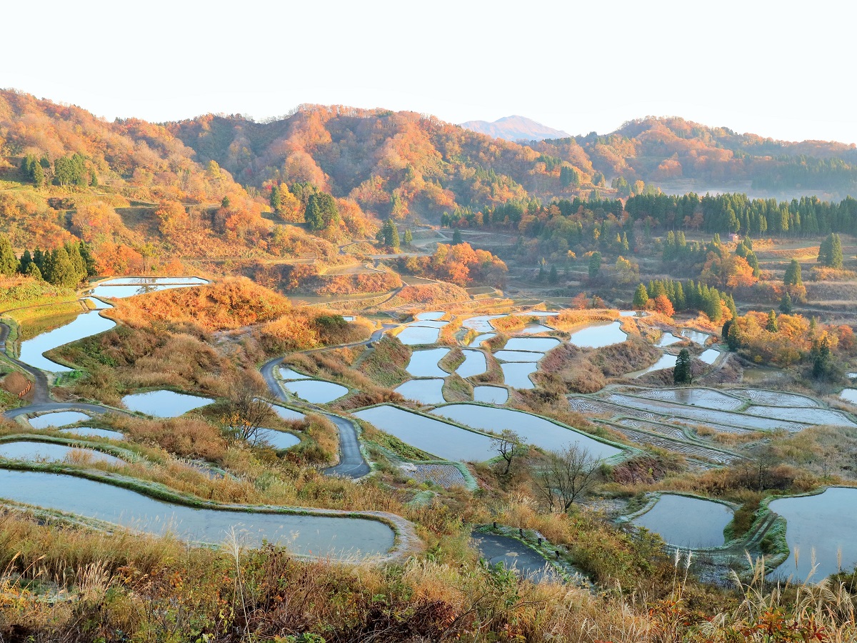 https:hoshitoge.jp save星峠の棚田を守る会のご紹介です 多くの方々が訪れる星峠の棚田ですが、この景観を継続するためには多くの課題があります今後も、星峠の棚田を守るために一人でも多くの方にご支援、ご協力頂きたいと願っております 是非ご賛同いただき、共に