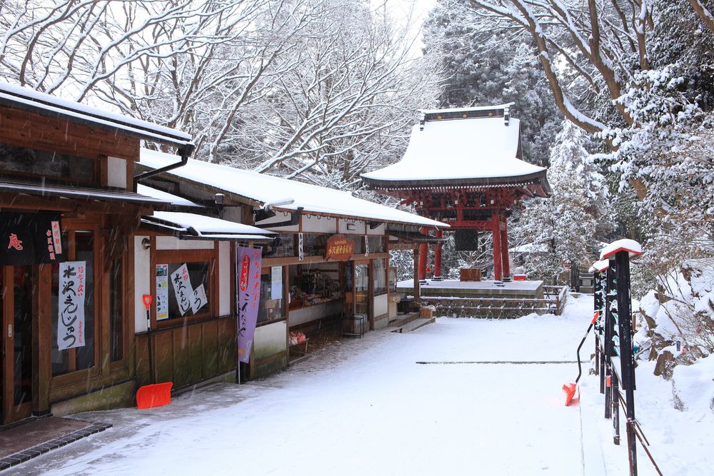 水澤観音 〗水澤寺六角二重塔水澤観音六道輪廻水沢観音伊香保伊香保観光水澤寺渋川市渋川寺院巡り群馬観光群馬県群馬北関東伊香保旅行神社仏閣巡り