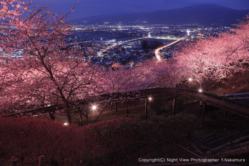 南紀白浜の観光スポットランキングTOP10 - じゃらんnet