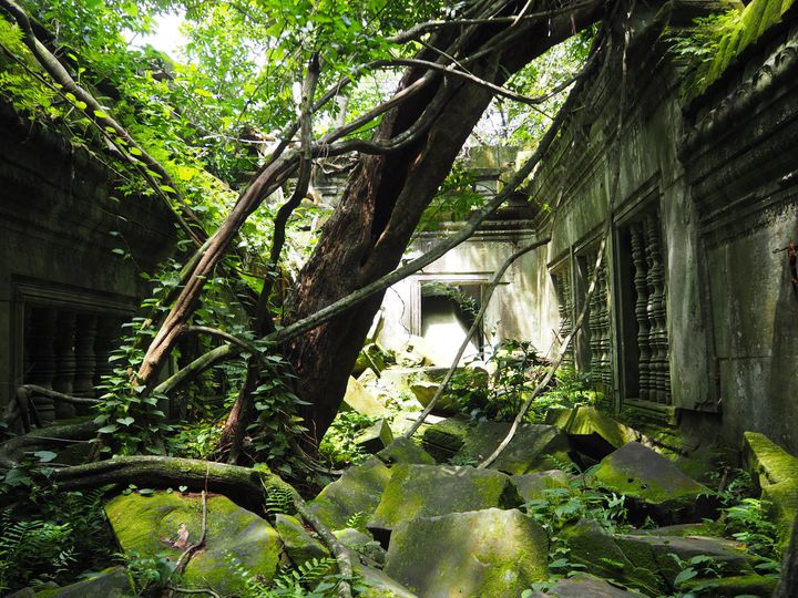 カンボジアのベンメリア遺跡への行き方！まるで天空の城ラピュタの世界？ - みかんのバンコクライフ日記