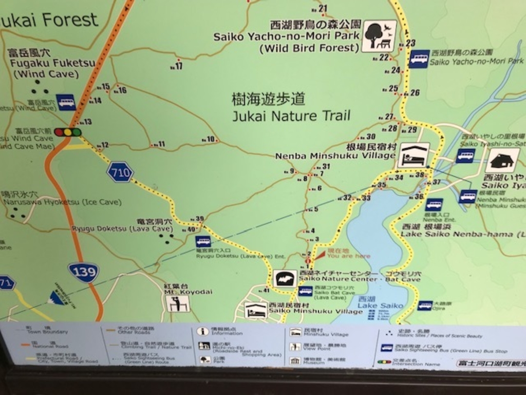 富岳風穴編 青木ヶ原樹海にある国指定天然記念物の洞窟に行ってみた！超超エリート株式会社HP