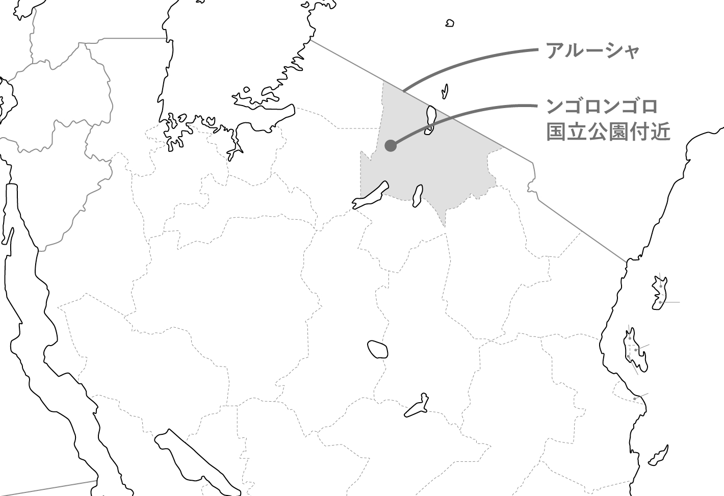 100g」タンザニア ンゴロンゴロ アガワルファミリー ウォッシュ AA