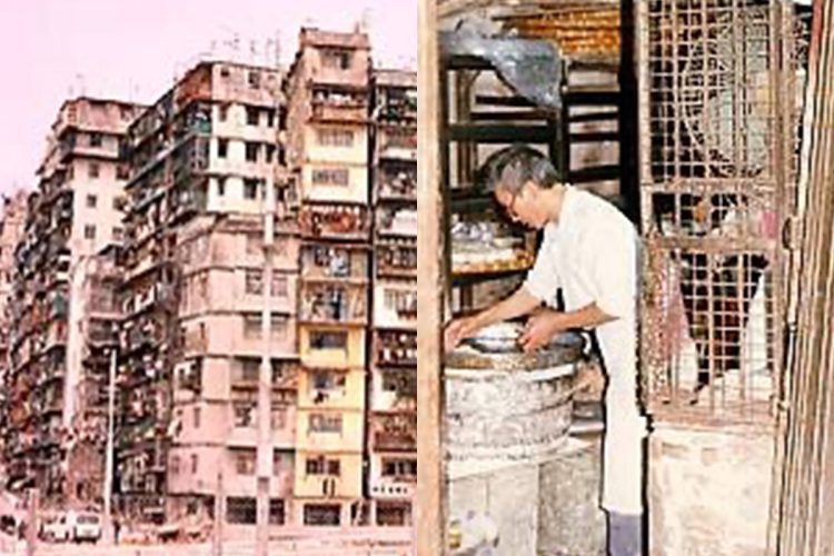 Amazon.co.jp:Amazon.co.jp限定 トワイライト・ウォリアーズ 決戦！九龍城砦 DVD通常版フィルム風クリアしおり2枚セット＋L判ブロマイド7枚セット