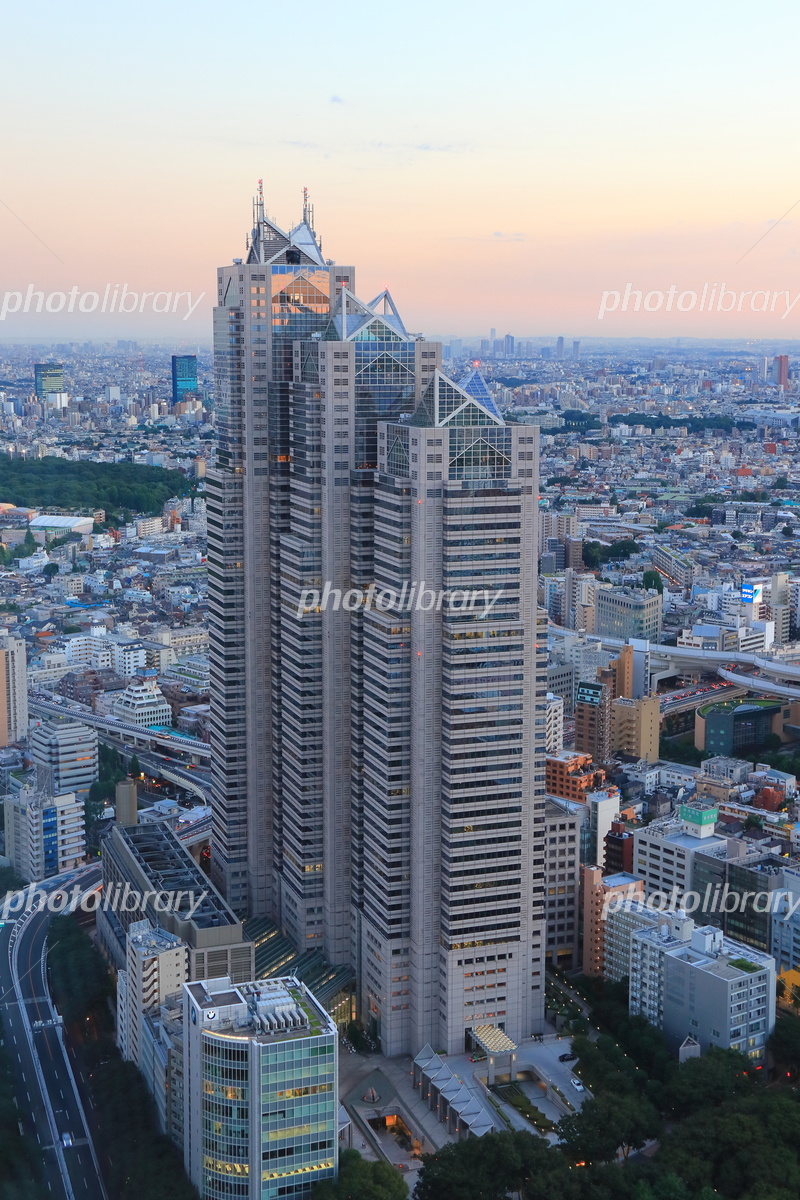 新宿イルミネーション2022 ⑥新宿パークタワー噴水広場を中心に約6万球のシャンパンゴールドのLEDライトがビルを暖かく包みます。1階アトリウムにはモミの木のクリスマスツリー 12 25まで も。※2023年2月14日