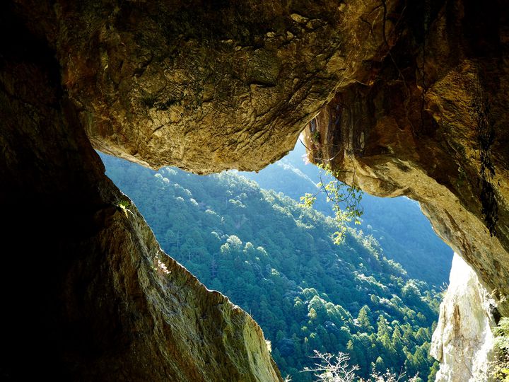 東海のおすすめ鍾乳洞・洞窟12選！竜ヶ岩洞や飛騨大鍾乳洞は大滝が迫力るるぶKids